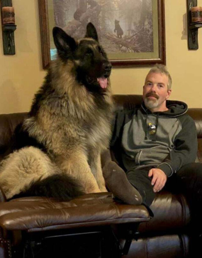 88 Animals So Giant It’s Hard To Believe They Are Real (New Pics)