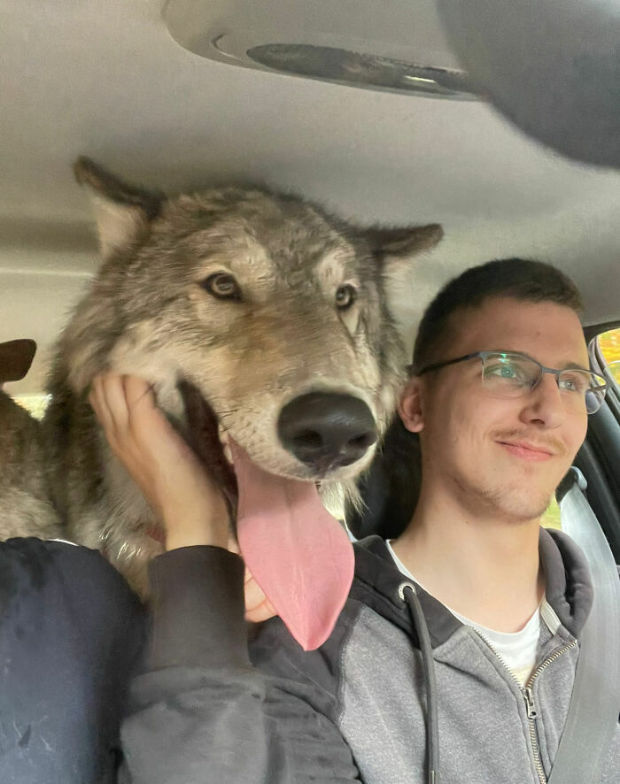 88 Animals So Giant It’s Hard To Believe They Are Real (New Pics)