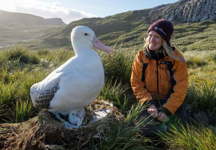 88 Animals So Giant It’s Hard To Believe They Are Real (New Pics)