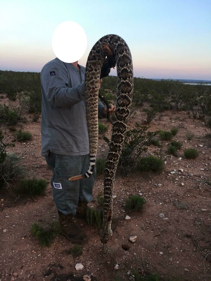 88 Animals So Giant It’s Hard To Believe They Are Real (New Pics)
