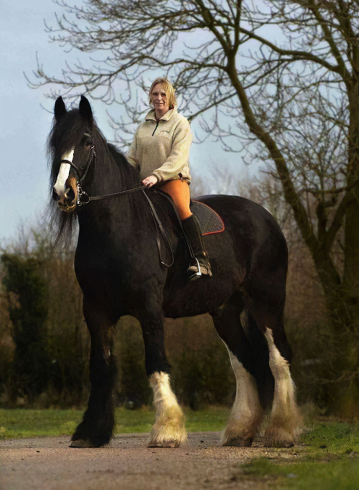 88 Animals So Giant It’s Hard To Believe They Are Real (New Pics)