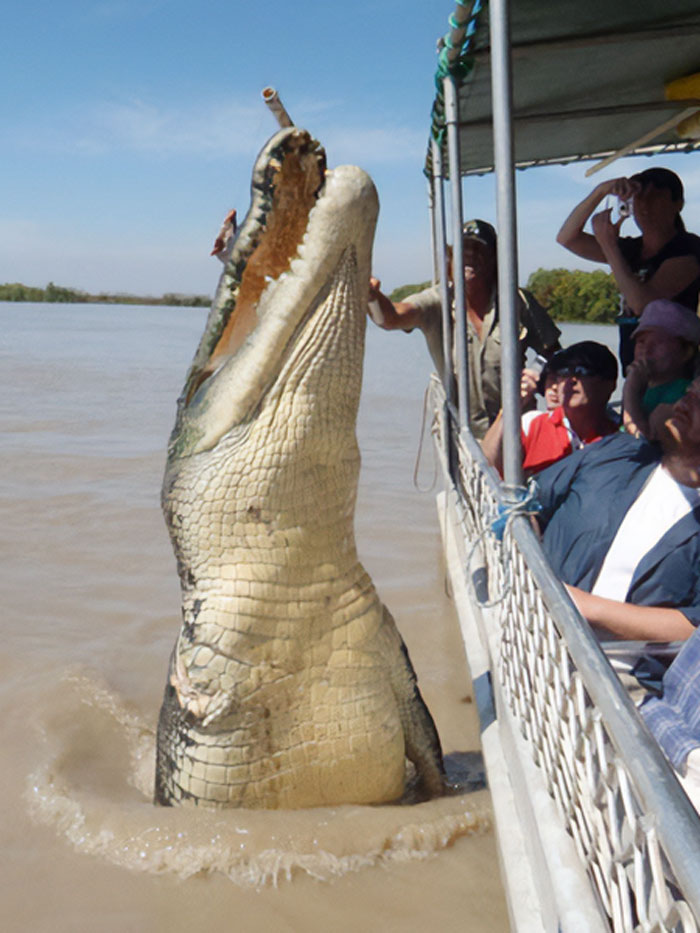 88 Animals So Giant It’s Hard To Believe They Are Real (New Pics)