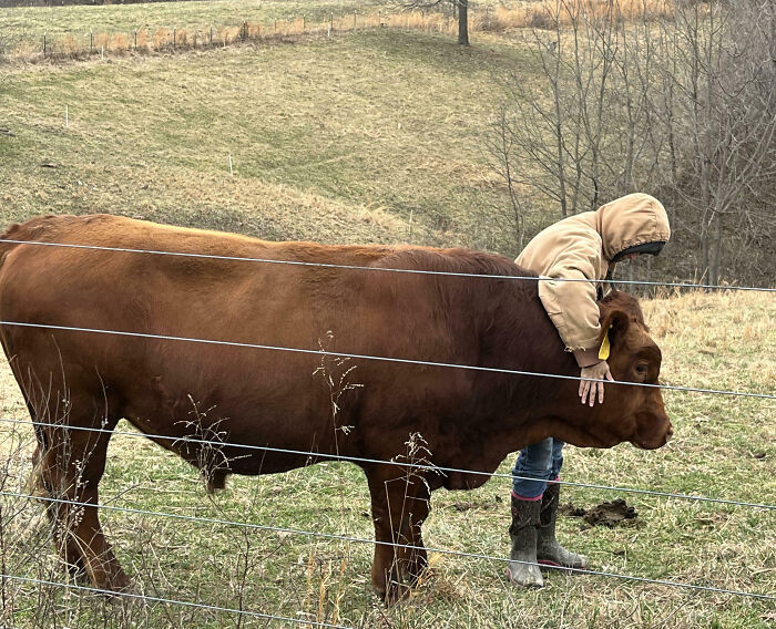 88 Animals So Giant It’s Hard To Believe They Are Real (New Pics)