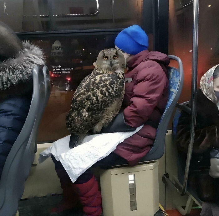 88 Animals So Giant It’s Hard To Believe They Are Real (New Pics)