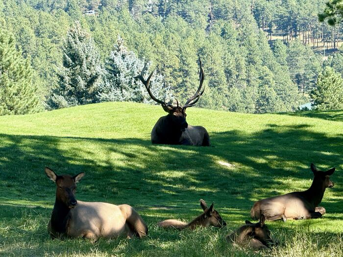 88 Animals So Giant It’s Hard To Believe They Are Real (New Pics)