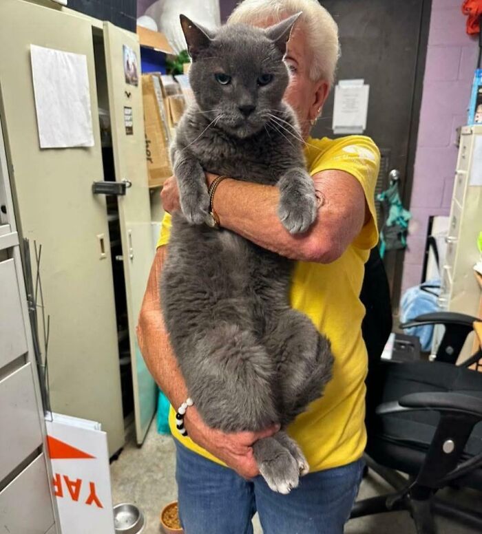 88 Animals So Giant It’s Hard To Believe They Are Real (New Pics)
