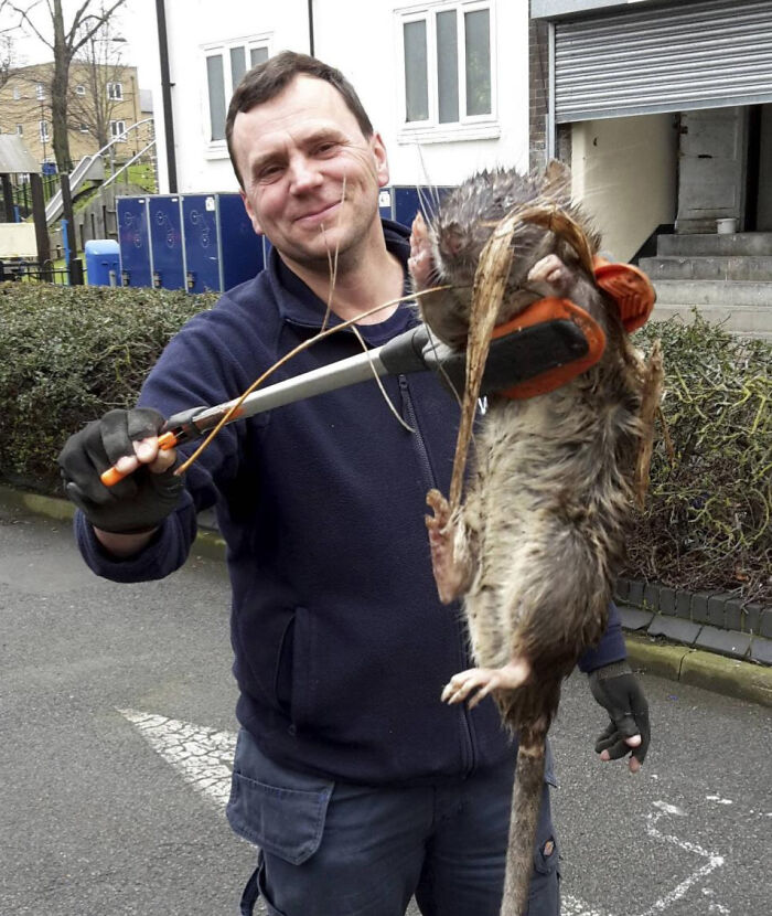88 Animals So Giant It’s Hard To Believe They Are Real (New Pics)
