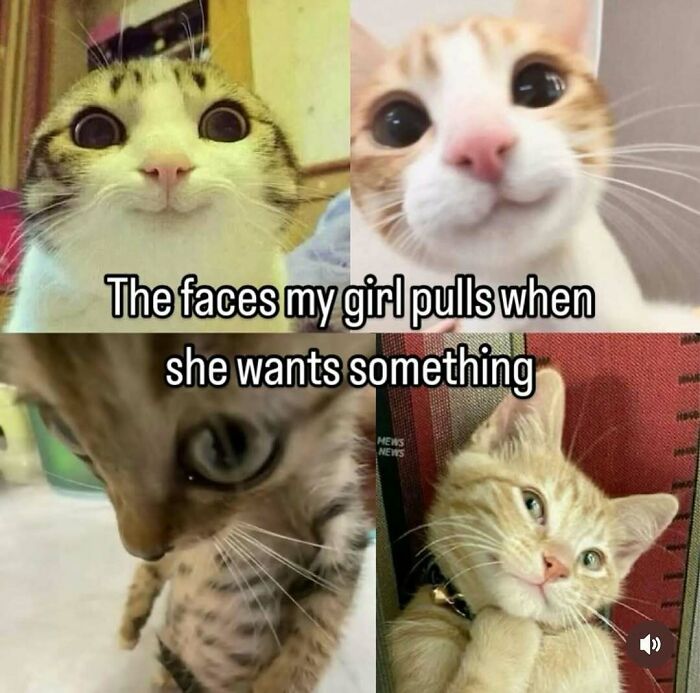 141 Wholesome Relationship Memes That Are Beyond Relatable