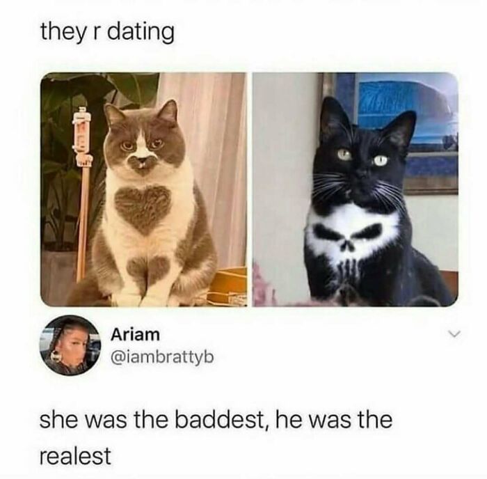 141 Wholesome Relationship Memes That Are Beyond Relatable