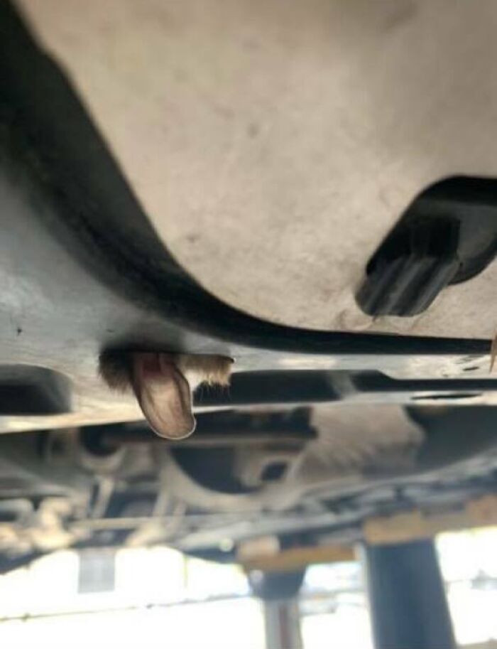 69 Times Car Mechanics Had To Take Pics Of What They Were Dealing With So Others Would Believe Them