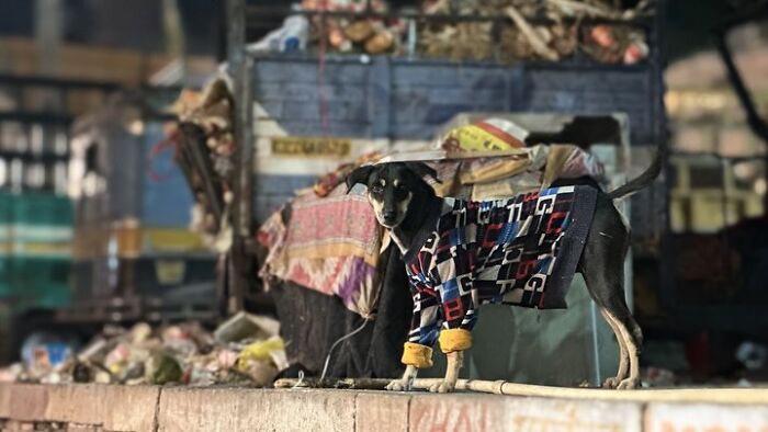 Everyday India Through The Lens Of Snehal Dudekula: 23 Powerful Photos