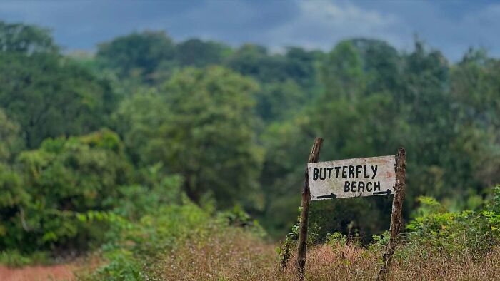 Everyday India Through The Lens Of Snehal Dudekula: 23 Powerful Photos