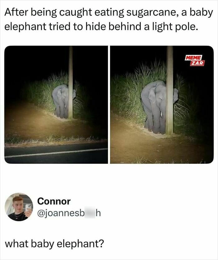 80 Funny Memes That You Might Want To Send To All Your Friends