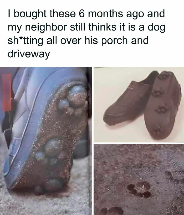 80 Funny Memes That You Might Want To Send To All Your Friends