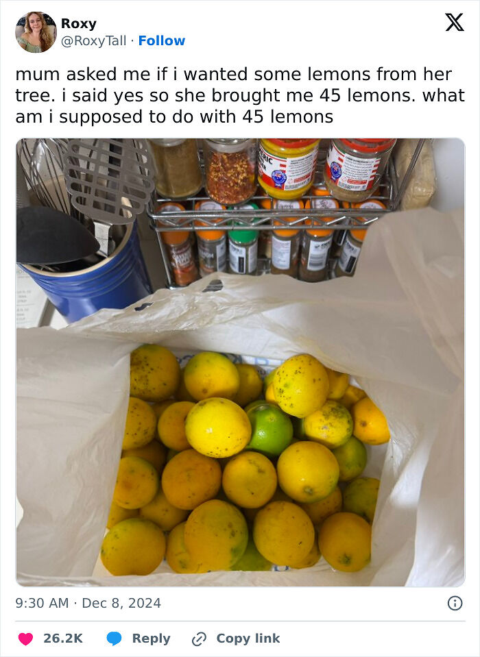 80 Funny Memes That You Might Want To Send To All Your Friends