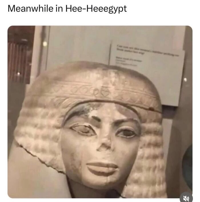 80 Funny Memes That You Might Want To Send To All Your Friends