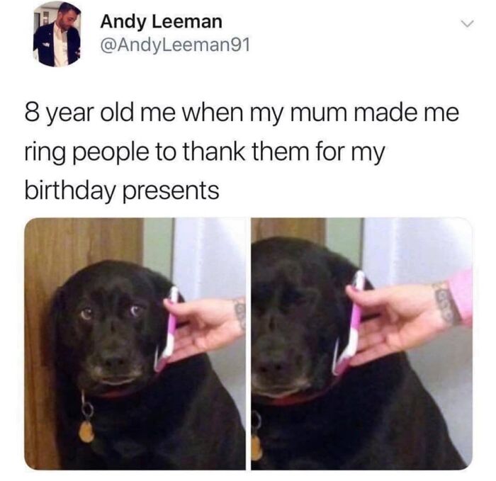 80 Funny Memes That You Might Want To Send To All Your Friends