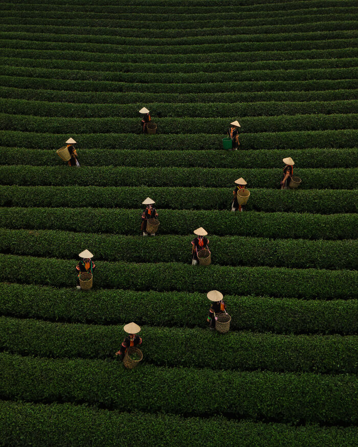 The reFocus Awards Revealed The 2025 Color Photography Winners, And Here Are 50 Of The Best Shots