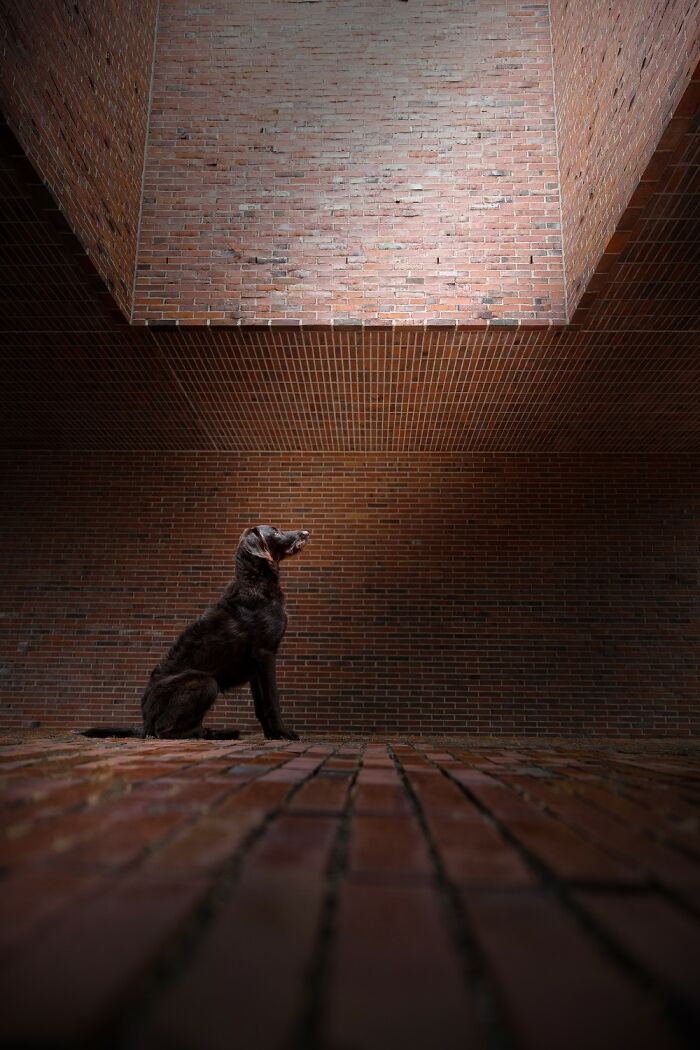 The reFocus Awards Revealed The 2025 Color Photography Winners, And Here Are 50 Of The Best Shots