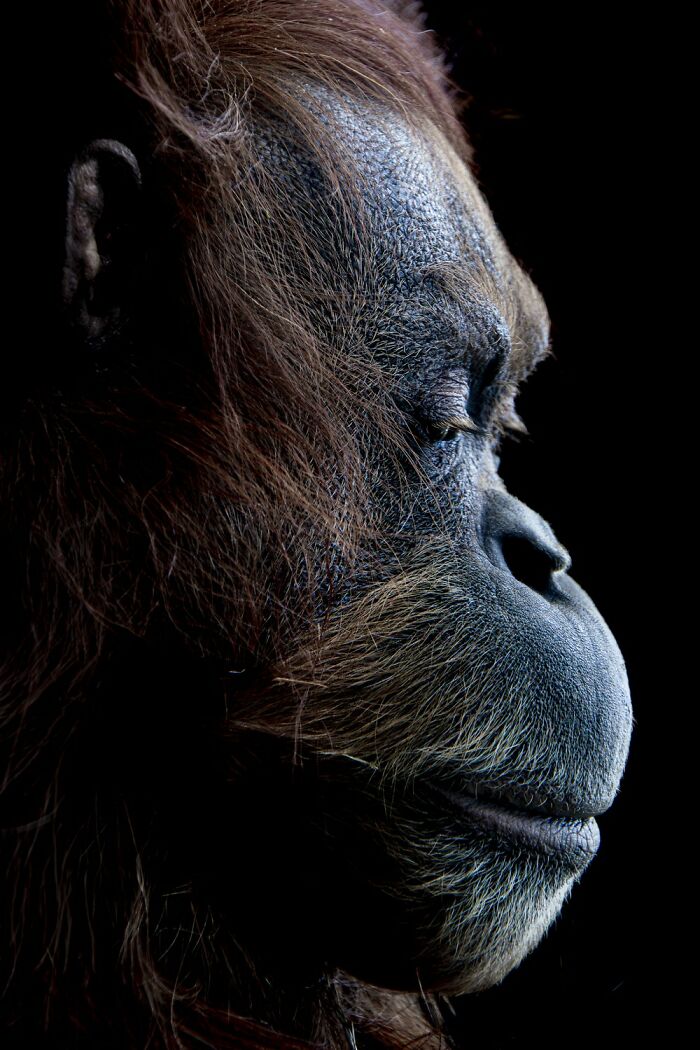The reFocus Awards Revealed The 2025 Color Photography Winners, And Here Are 50 Of The Best Shots