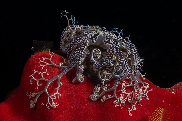 The reFocus Awards Revealed The 2025 Color Photography Winners, And Here Are 50 Of The Best Shots