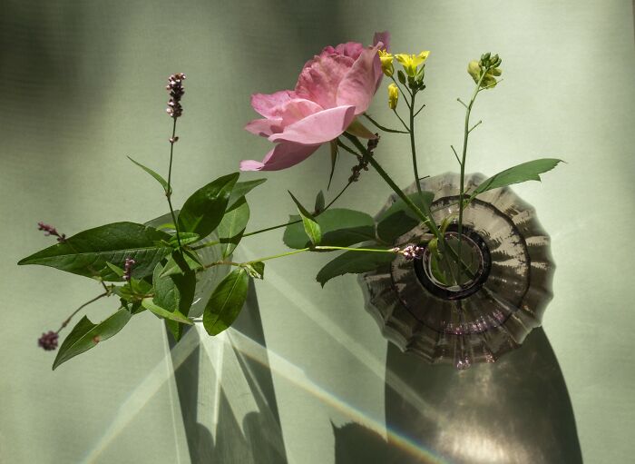 The reFocus Awards Revealed The 2025 Color Photography Winners, And Here Are 50 Of The Best Shots