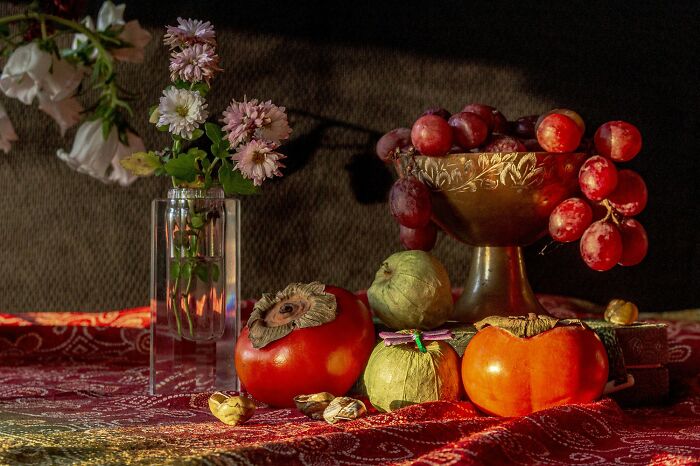 The reFocus Awards Revealed The 2025 Color Photography Winners, And Here Are 50 Of The Best Shots