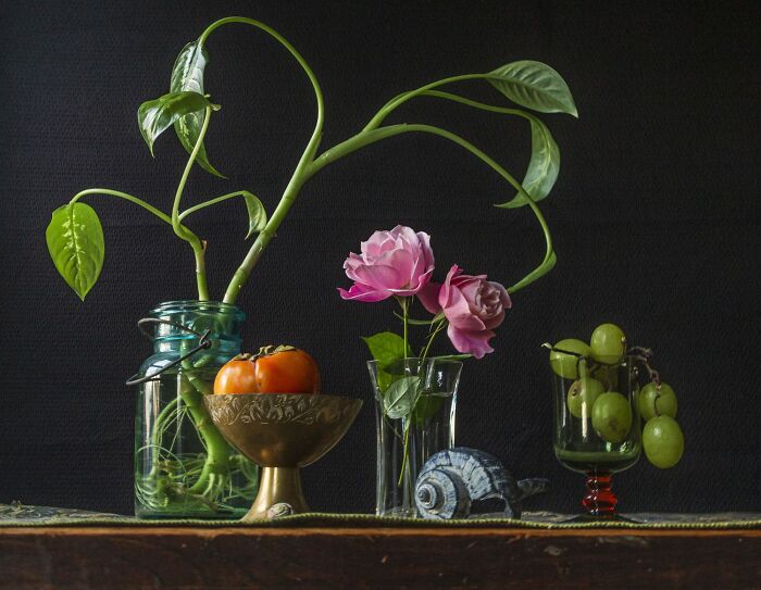 The reFocus Awards Revealed The 2025 Color Photography Winners, And Here Are 50 Of The Best Shots