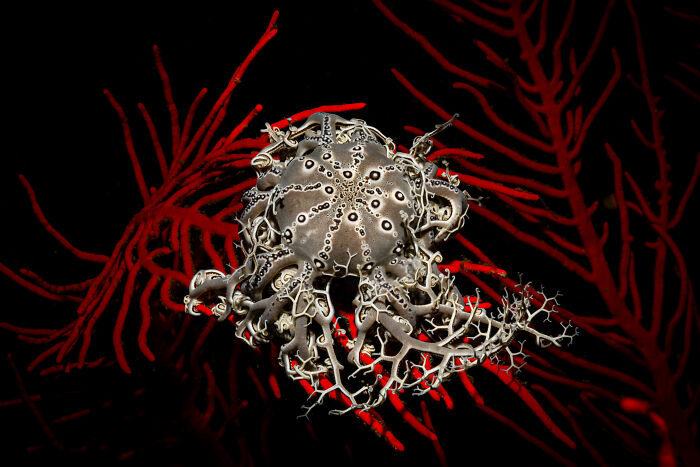 The reFocus Awards Revealed The 2025 Color Photography Winners, And Here Are 50 Of The Best Shots