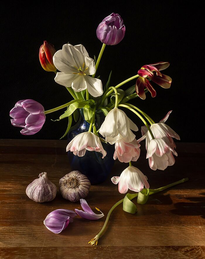 The reFocus Awards Revealed The 2025 Color Photography Winners, And Here Are 50 Of The Best Shots