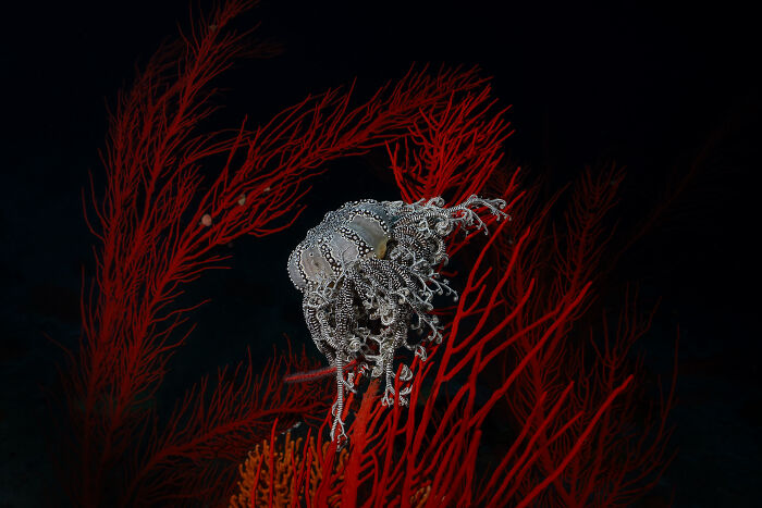 The reFocus Awards Revealed The 2025 Color Photography Winners, And Here Are 50 Of The Best Shots