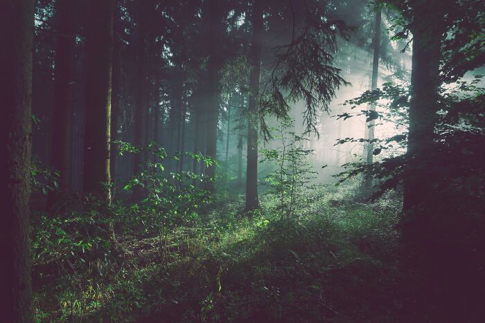 37 Terrifying True Stories From The People Who Work And Explore Beneath Our Feet