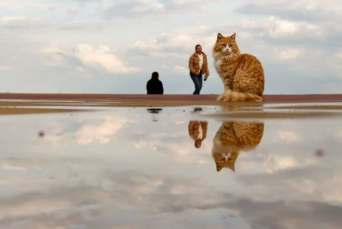 Photographer Melahat Ünel Captures 45 Candid Moments Where Timing Is Everything