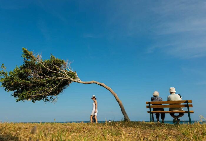 Photographer Melahat Ünel Captures 45 Candid Moments Where Timing Is Everything