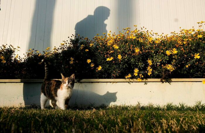 Photographer Melahat Ünel Captures 45 Candid Moments Where Timing Is Everything