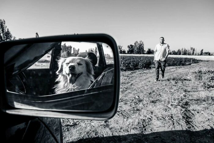 Photographer Melahat Ünel Captures 45 Candid Moments Where Timing Is Everything