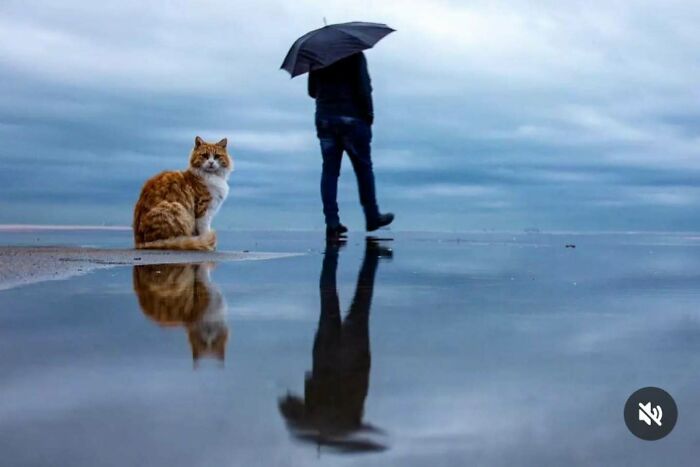 Photographer Melahat Ünel Captures 45 Candid Moments Where Timing Is Everything