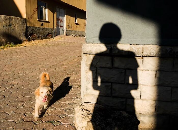 Photographer Melahat Ünel Captures 45 Candid Moments Where Timing Is Everything