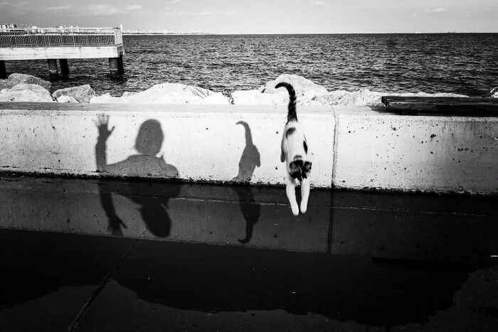 Photographer Melahat Ünel Captures 45 Candid Moments Where Timing Is Everything