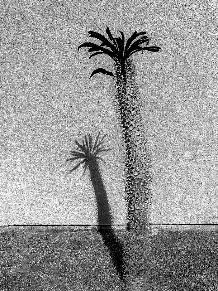 25 Powerful And Winning Shots Of The 50th AAP Magazine Contest “Shapes”