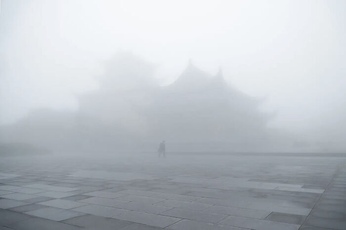 25 Powerful And Winning Shots Of The 50th AAP Magazine Contest “Shapes”