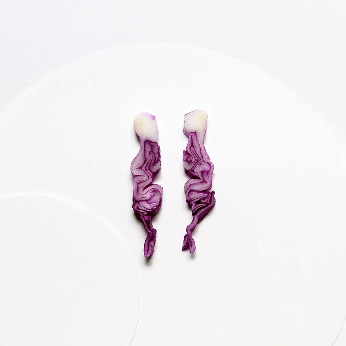 25 Powerful And Winning Shots Of The 50th AAP Magazine Contest “Shapes”