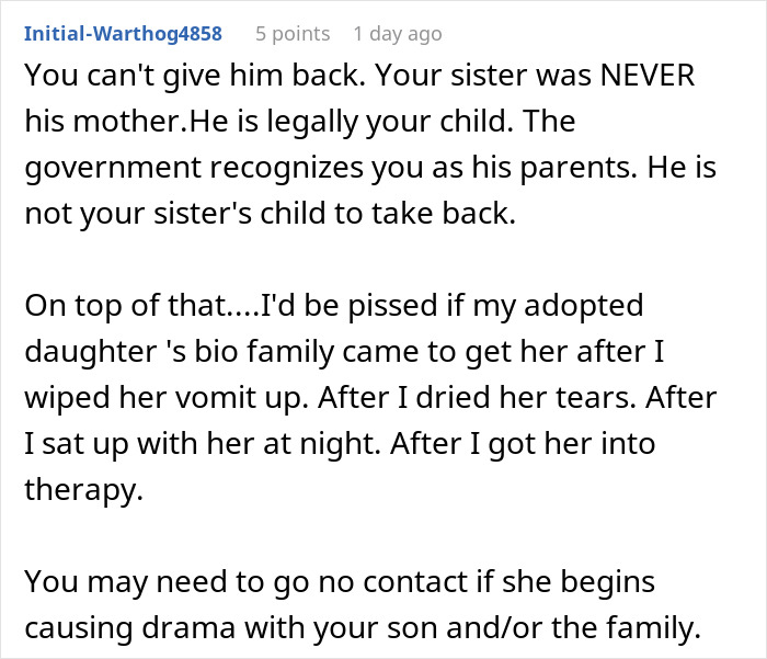 &#8220;AITA For Refusing To Give My Sister Back The Child I&#8217;ve Raised As My Own?&#8221;
