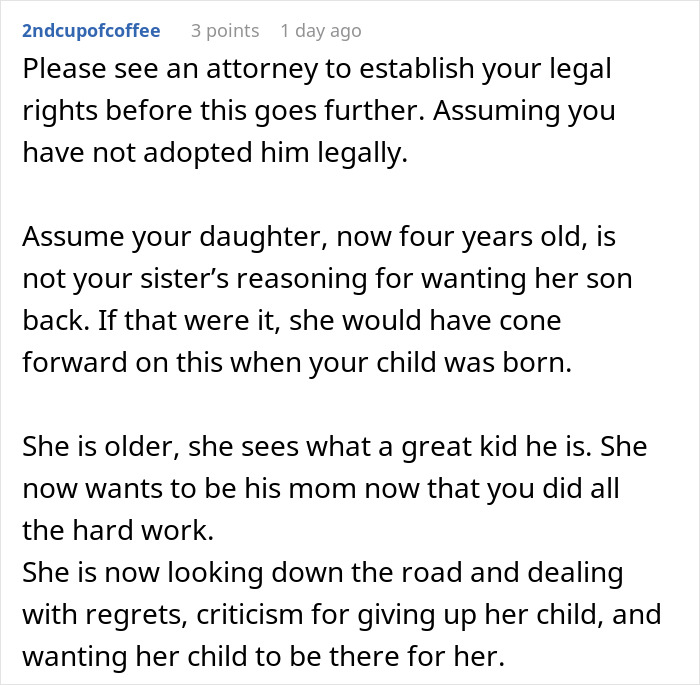 &#8220;AITA For Refusing To Give My Sister Back The Child I&#8217;ve Raised As My Own?&#8221;
