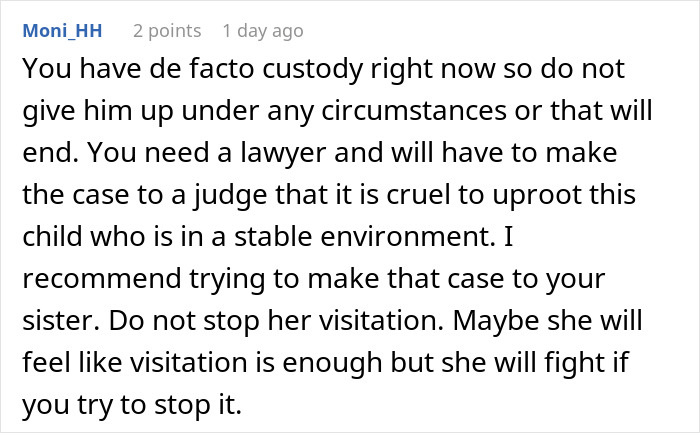 &#8220;AITA For Refusing To Give My Sister Back The Child I&#8217;ve Raised As My Own?&#8221;