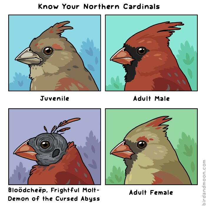 34 Witty Comics By Rosemary Mosco That Show Why Nature Is Funnier Than You Think (New Pics)