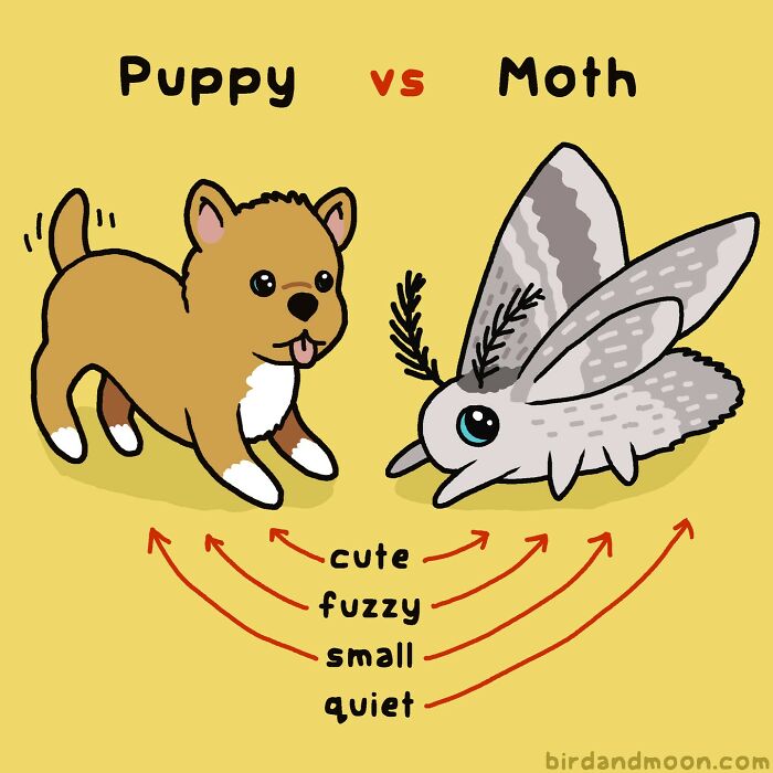 34 Witty Comics By Rosemary Mosco That Show Why Nature Is Funnier Than You Think (New Pics)