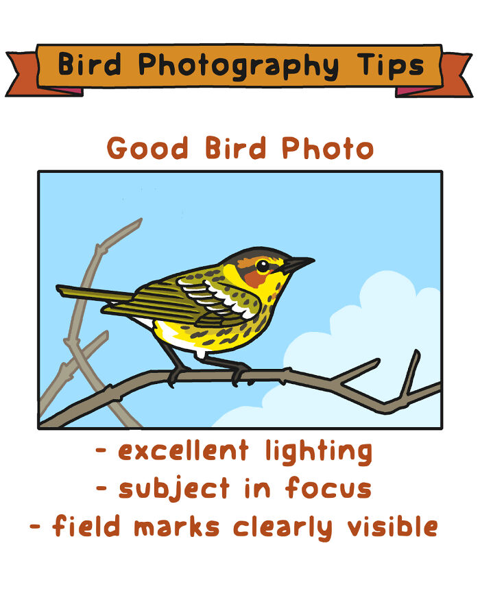 34 Witty Comics By Rosemary Mosco That Show Why Nature Is Funnier Than You Think (New Pics)