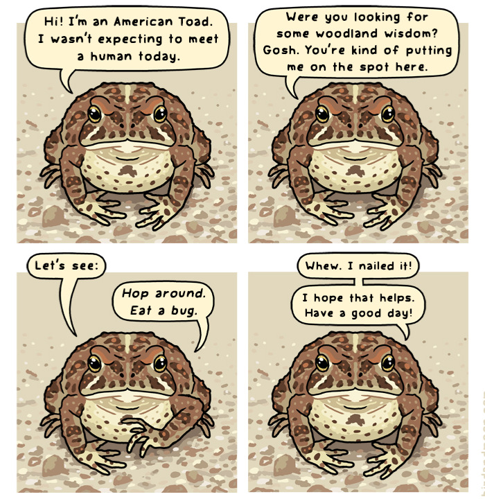 34 Witty Comics By Rosemary Mosco That Show Why Nature Is Funnier Than You Think (New Pics)