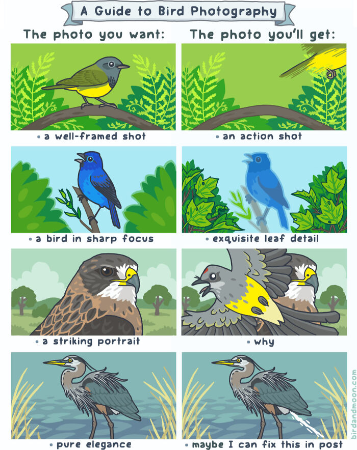 34 Witty Comics By Rosemary Mosco That Show Why Nature Is Funnier Than You Think (New Pics)